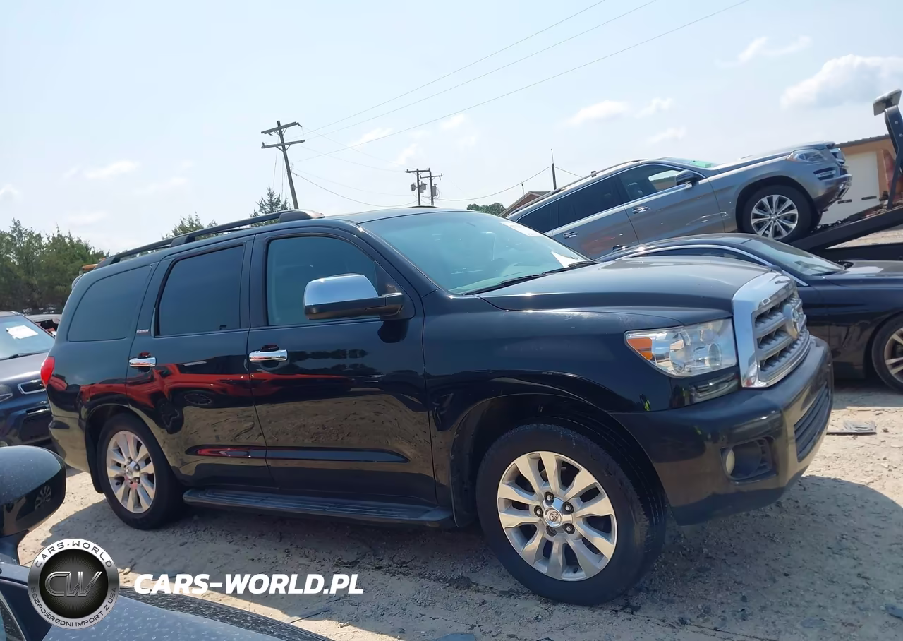 2010 Toyota Sequoia Platinum 5.7L V8 VIN:5TDYY5G11AS023258 - 13