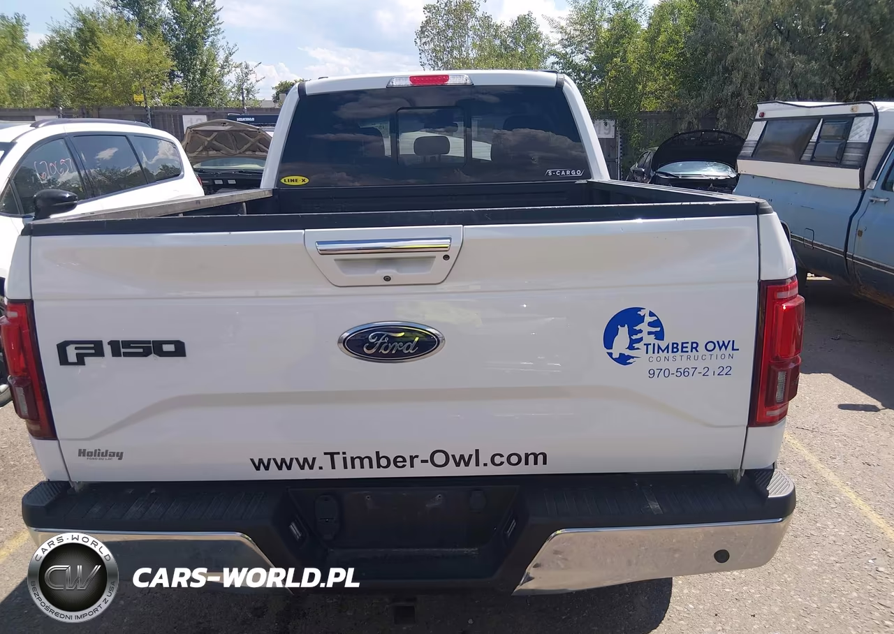 2016 Ford F-150 Lariat VIN:1FTFX1EG6GFA60969 - 17