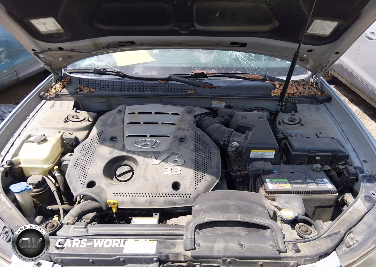 2006 Hyundai Sonata Gls V6-Lx V6 VIN:5NPEU46F06H095975 - 10
