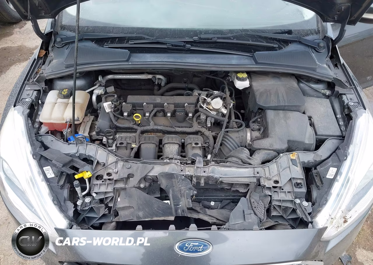 2018 Ford Focus Titanium VIN:1FADP3J20JL220985 - 10