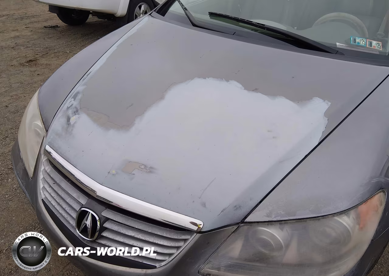 2005 Acura Rl 3.5 VIN:JH4KB165X5C017257 - 12