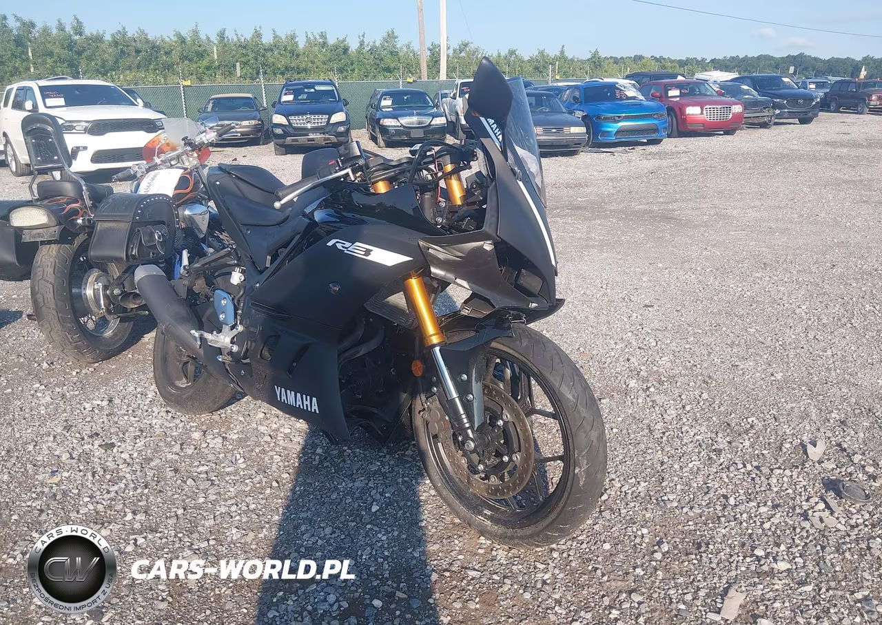 2019 Yamaha Yzfr3 – zdjęcie 1 z 13