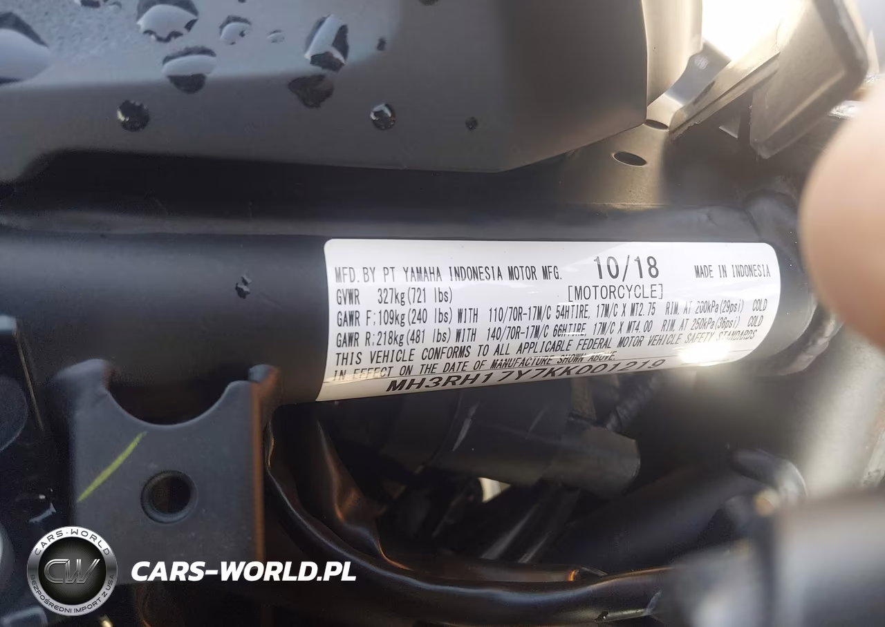 2019 Yamaha Yzfr3 VIN:MH3RH17Y7KK001219 - 10