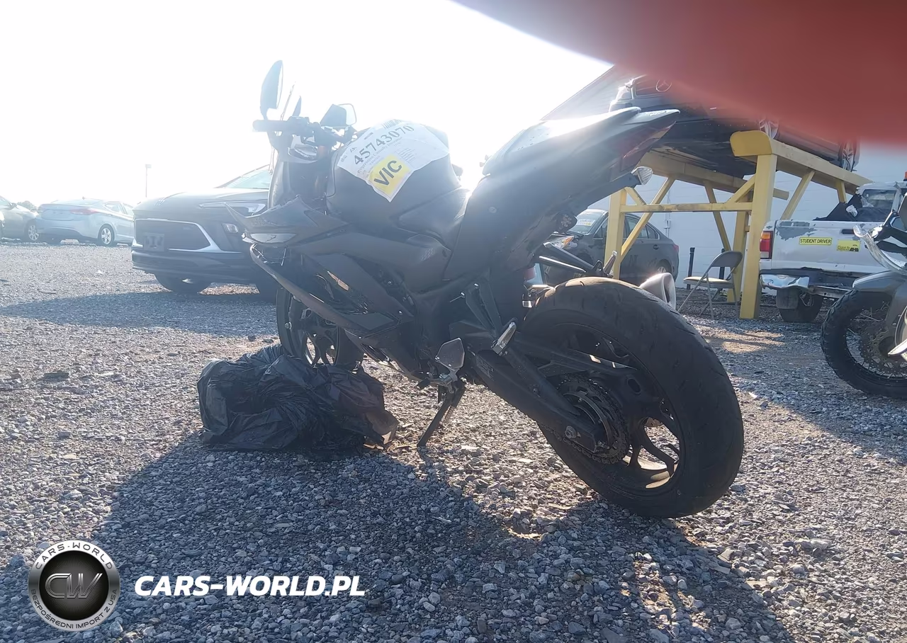2019 Yamaha Yzfr3 VIN:MH3RH17Y7KK001219 - 3