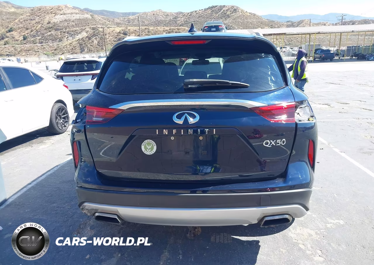 2019 Infiniti Qx50 Luxe VIN:3PCAJ5M10KF121908 - 17