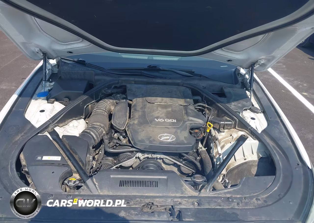 2015 Hyundai Genesis 3.8 VIN:KMHGN4JEXFU086500 - 10