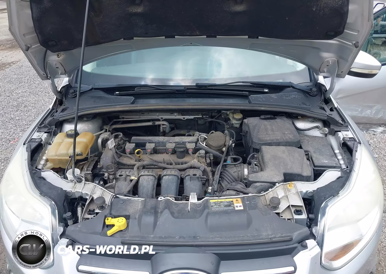 2014 Ford Focus Se VIN:1FADP3F23EL205833 - 10