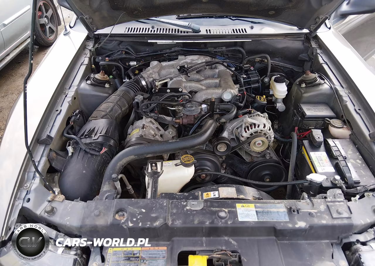 2002 Ford Mustang VIN:1FAFP40462F165993 - 10