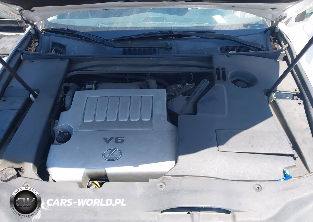 2009 Lexus Es 350 VIN:JTHBJ46GX92337745 - 10