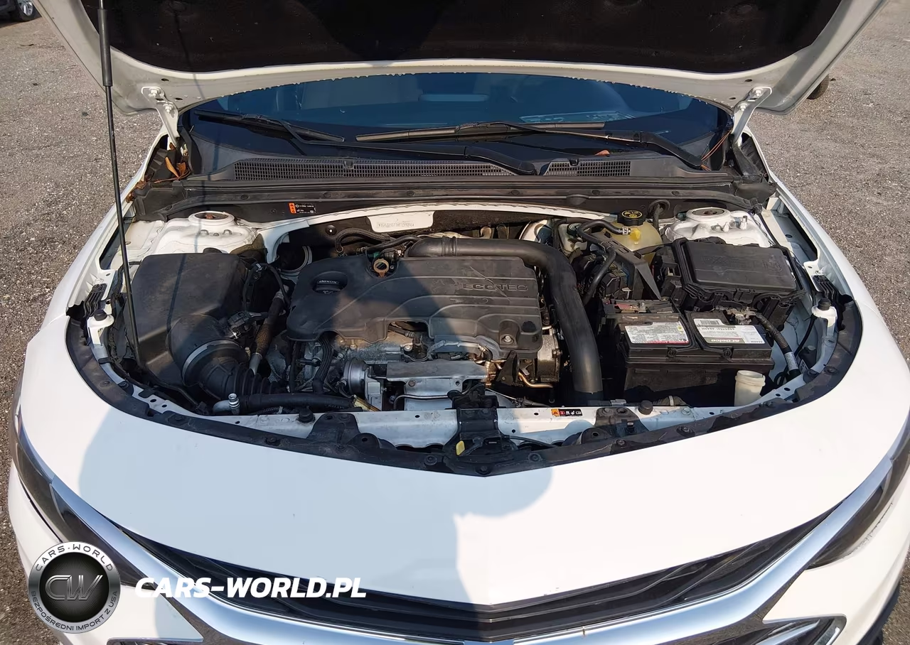2019 Chevrolet Malibu Lt VIN:1G1ZD5ST7KF139096 - 10