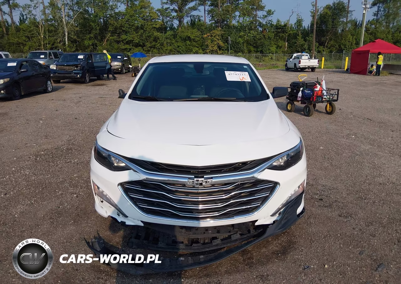 2019 Chevrolet Malibu Lt VIN:1G1ZD5ST7KF139096 - 12