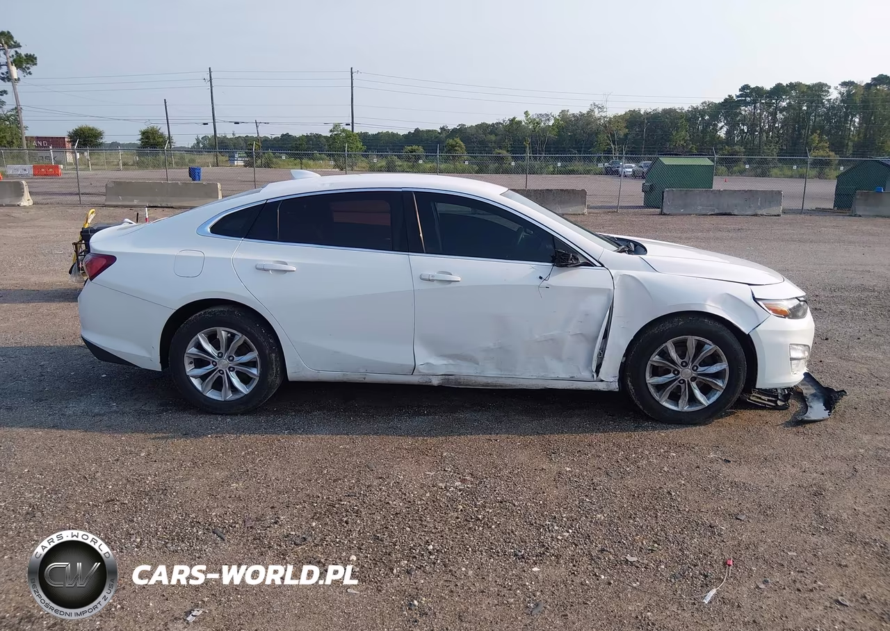 2019 Chevrolet Malibu Lt VIN:1G1ZD5ST7KF139096 - 13