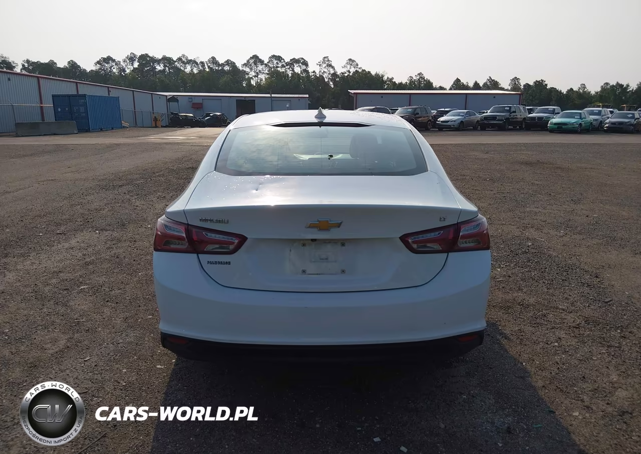 2019 Chevrolet Malibu Lt VIN:1G1ZD5ST7KF139096 - 16
