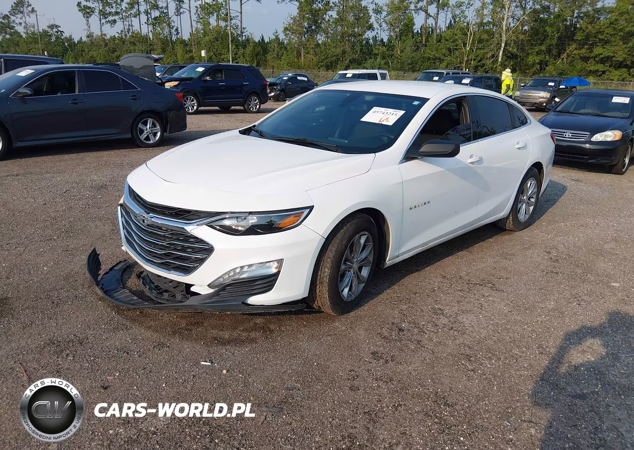 2019 Chevrolet Malibu Lt VIN:1G1ZD5ST7KF139096 - 2