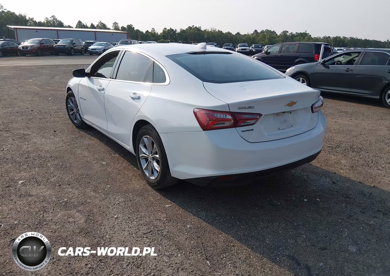 2019 Chevrolet Malibu Lt VIN:1G1ZD5ST7KF139096 - 3