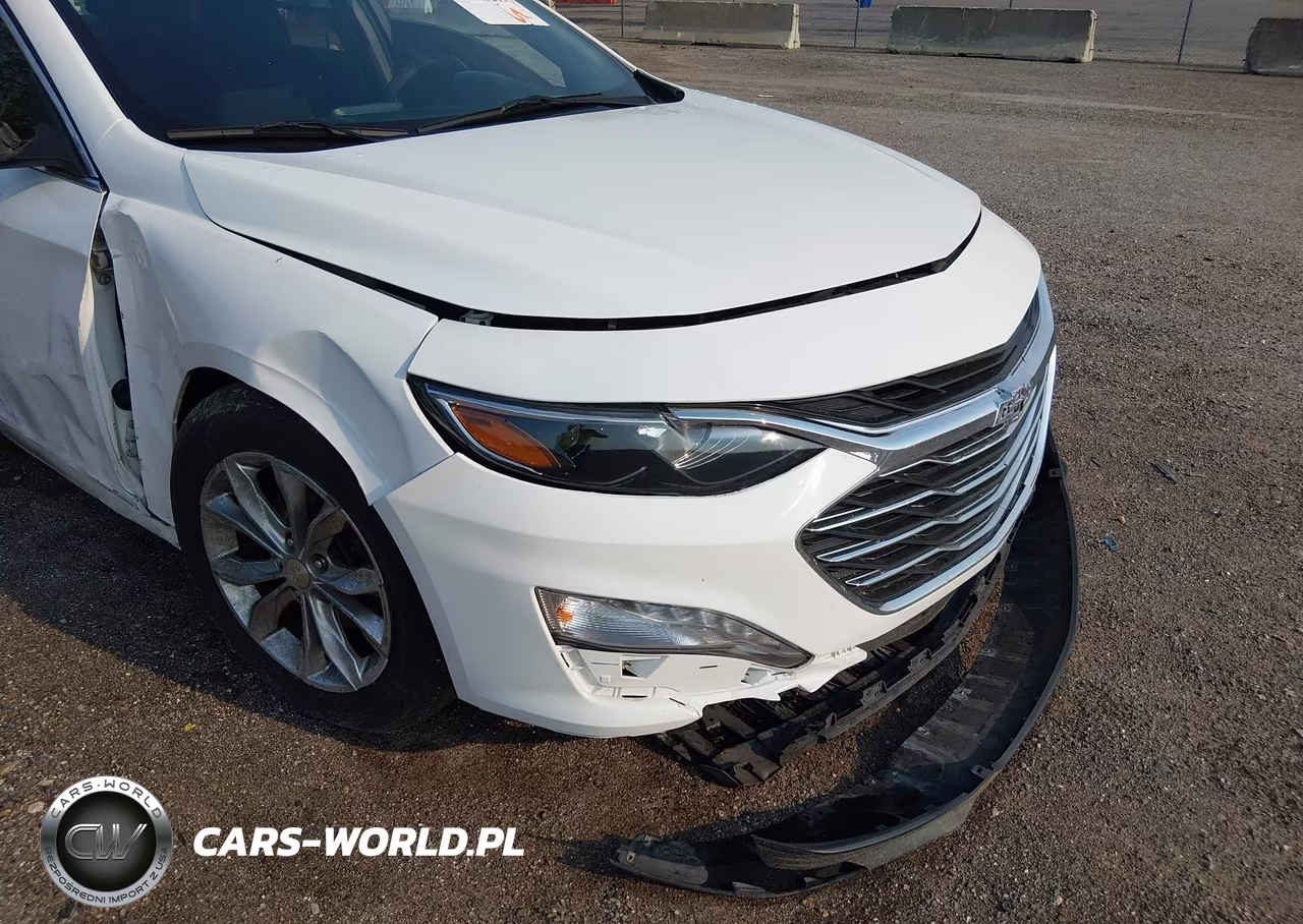 2019 Chevrolet Malibu Lt VIN:1G1ZD5ST7KF139096 - 6