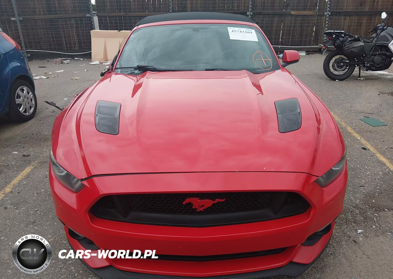 2017 Ford Mustang Gt Premium VIN:1FATP8FF9H5301499 - 13