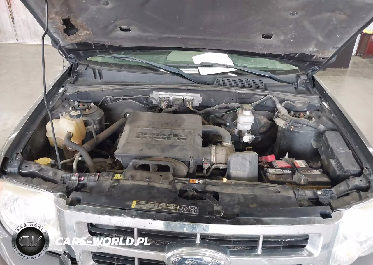 2009 Ford Escape Xlt VIN:1FMCU93GX9KA64221 - 10