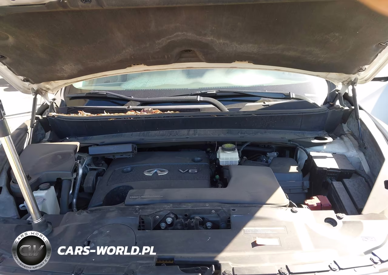2014 Infiniti Qx60 VIN:5N1AL0MM4EC508918 - 10