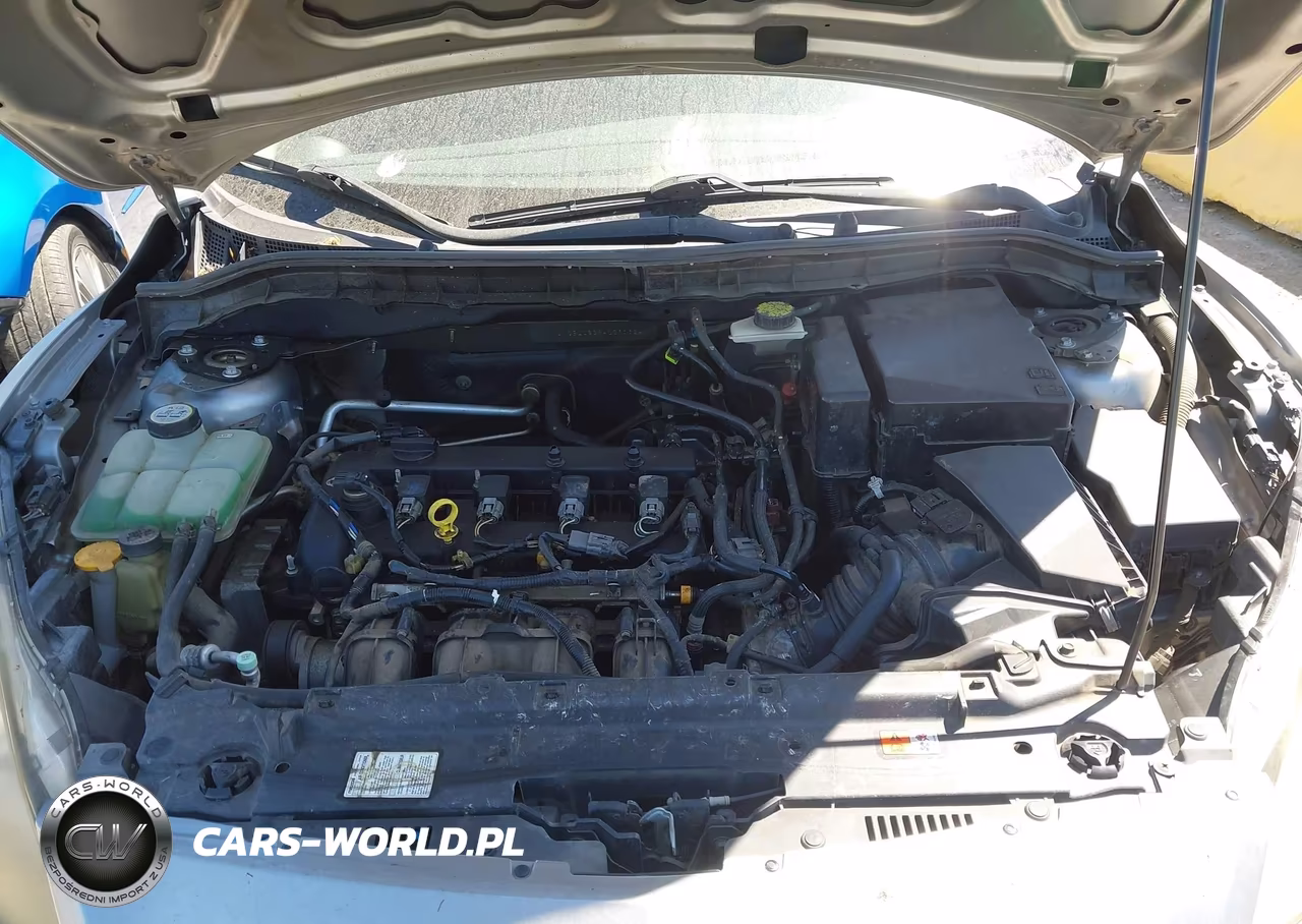 2010 Mazda Mazda3 I Sport VIN:JM1BL1SG8A1261324 - 10