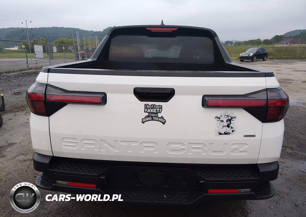 2025 Hyundai Santa Cruz Sel VIN:5NTJBDDE9SH134136 - 16