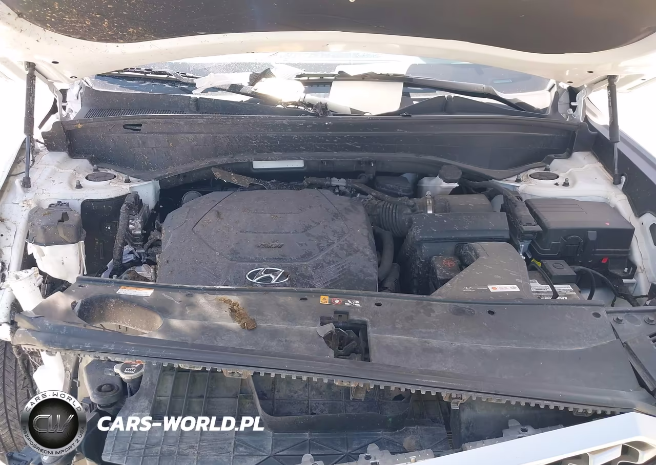 2021 Hyundai Palisade Sel VIN:KM8R44HE9MU311939 - 10