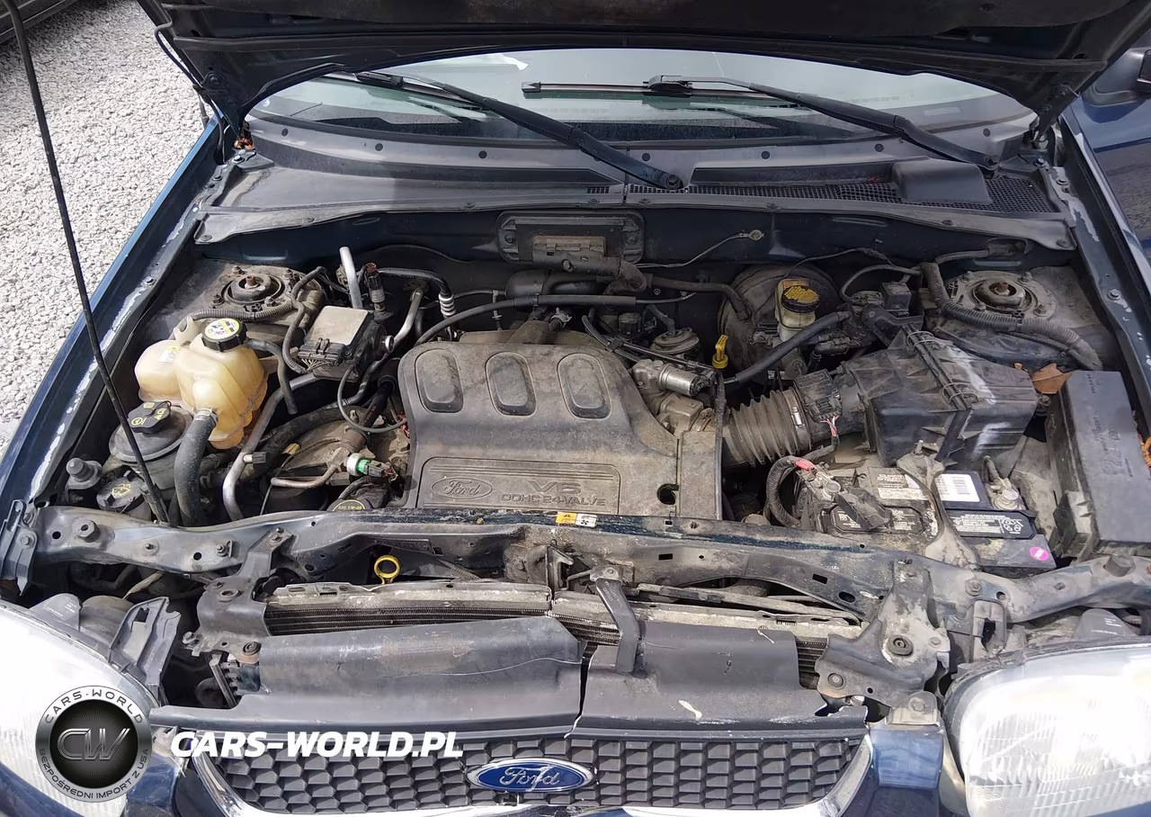 2004 Ford Escape Limited VIN:1FMCU941X4KB50177 - 10