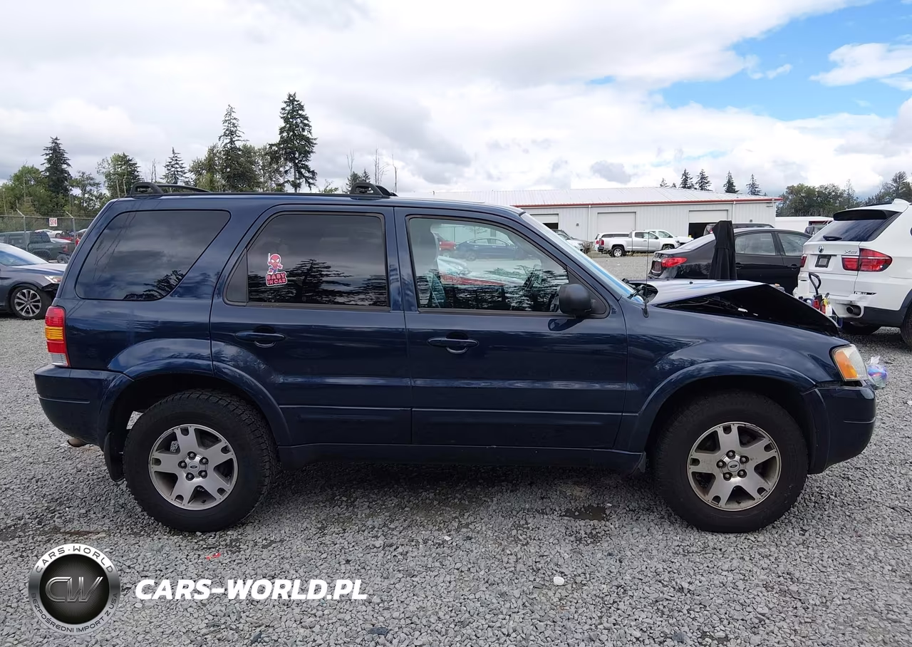 2004 Ford Escape Limited VIN:1FMCU941X4KB50177 - 13