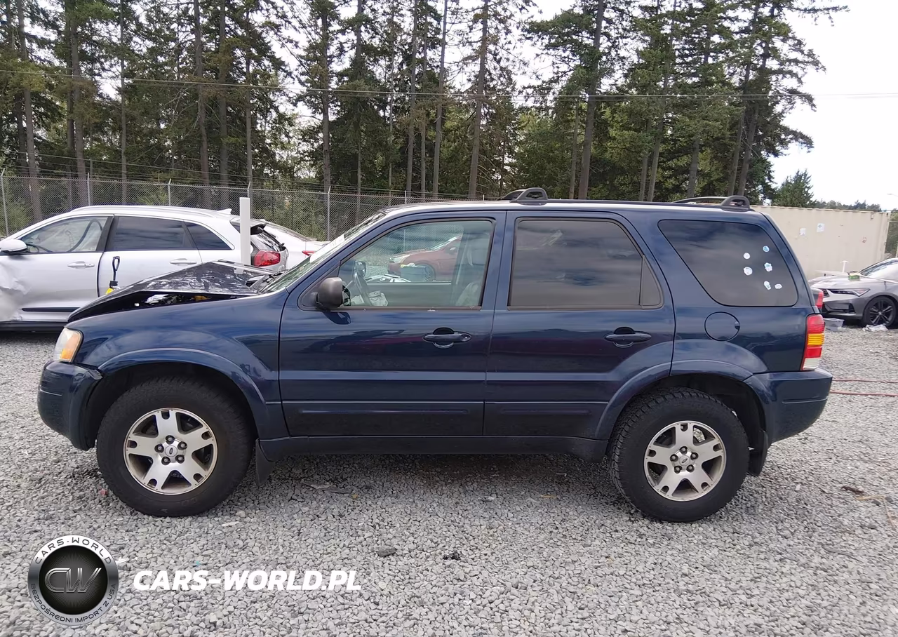 2004 Ford Escape Limited VIN:1FMCU941X4KB50177 - 14