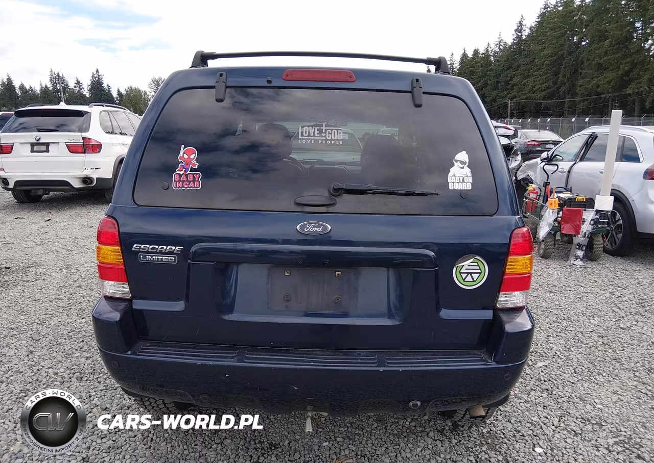 2004 Ford Escape Limited VIN:1FMCU941X4KB50177 - 16