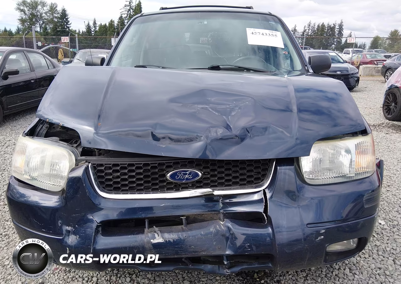 2004 Ford Escape Limited VIN:1FMCU941X4KB50177 - 6