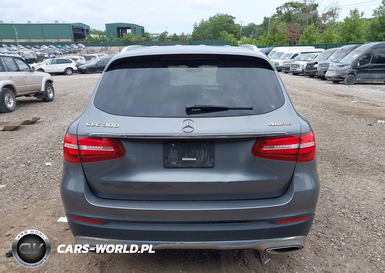 2019 Mercedes-Benz Glc 300 4Matic VIN:WDC0G4KB1KV117832 - 16