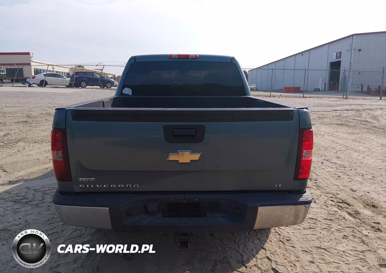 2010 Chevrolet Silverado 1500 Lt VIN:3GCRCSE08AG175516 - 16