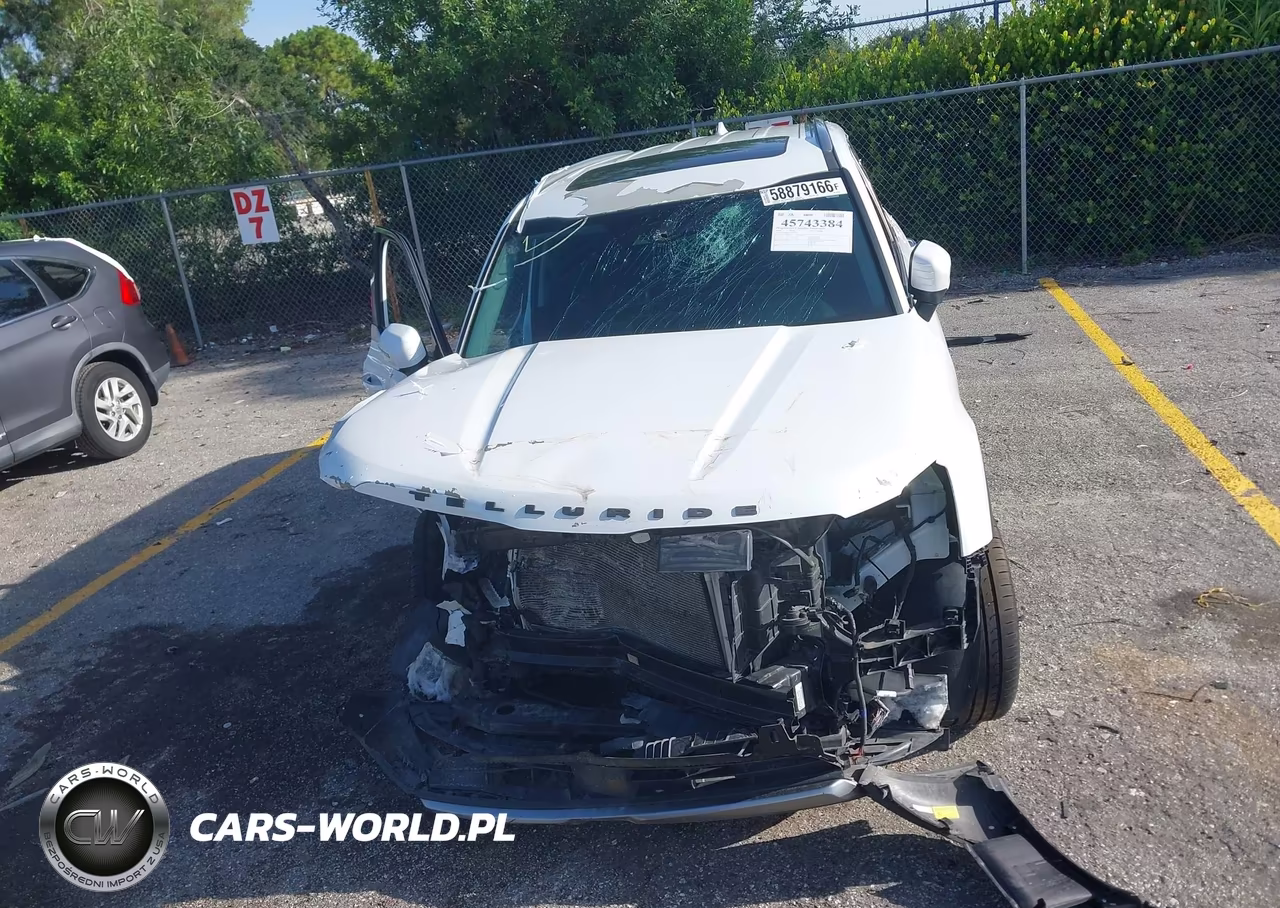 2020 Kia Telluride S VIN:5XYP64HC3LG025184 - 12