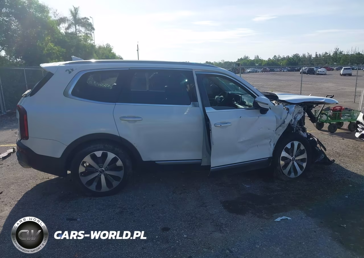 2020 Kia Telluride S VIN:5XYP64HC3LG025184 - 13