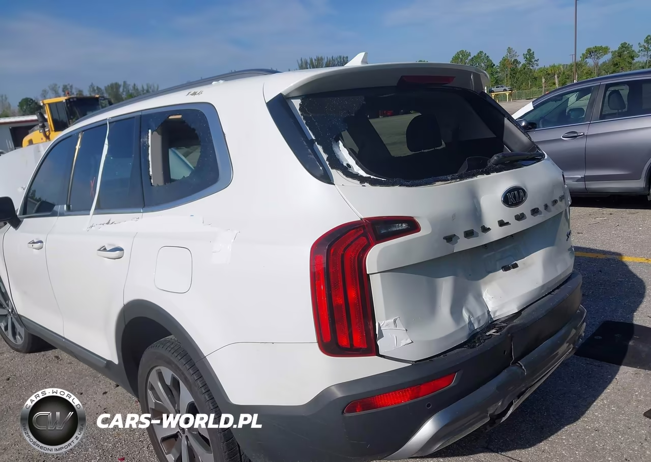 2020 Kia Telluride S VIN:5XYP64HC3LG025184 - 6