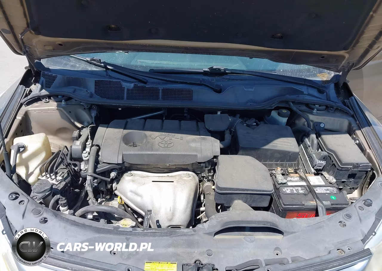 2010 Toyota Venza VIN:4T3ZA3BB9AU037257 - 10