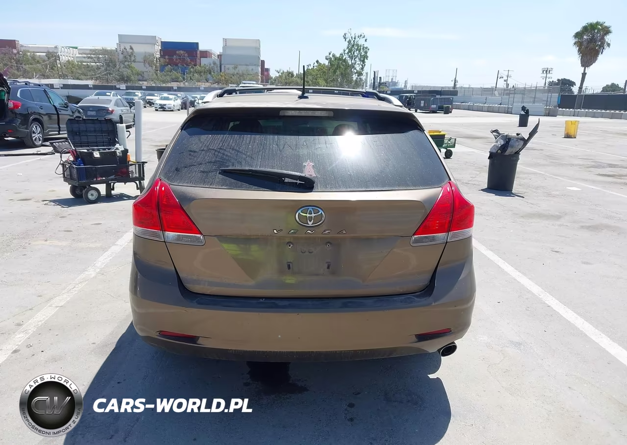 2010 Toyota Venza VIN:4T3ZA3BB9AU037257 - 16