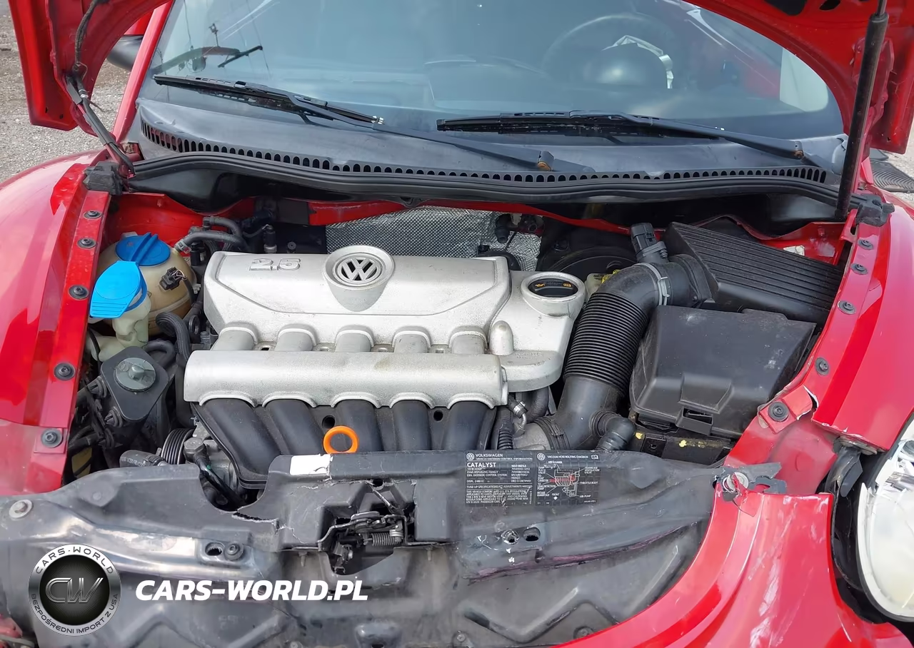 2007 Volkswagen New Beetle 2.5 VIN:3VWSF31Y77M420498 - 10