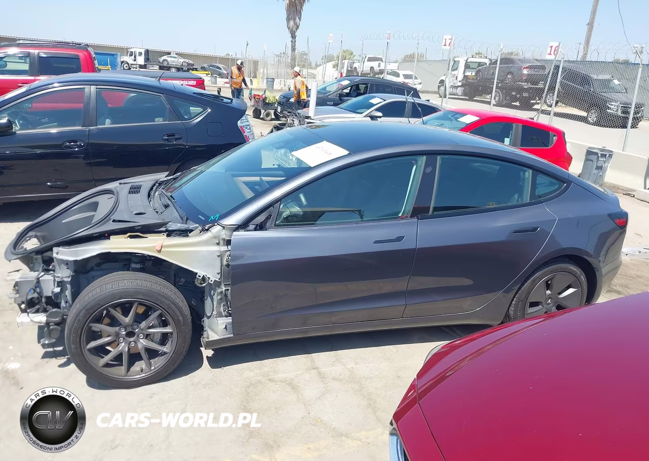 2023 Tesla Model 3 Rear-Wheel Drive VIN:5YJ3E1EA9PF565736 - 15