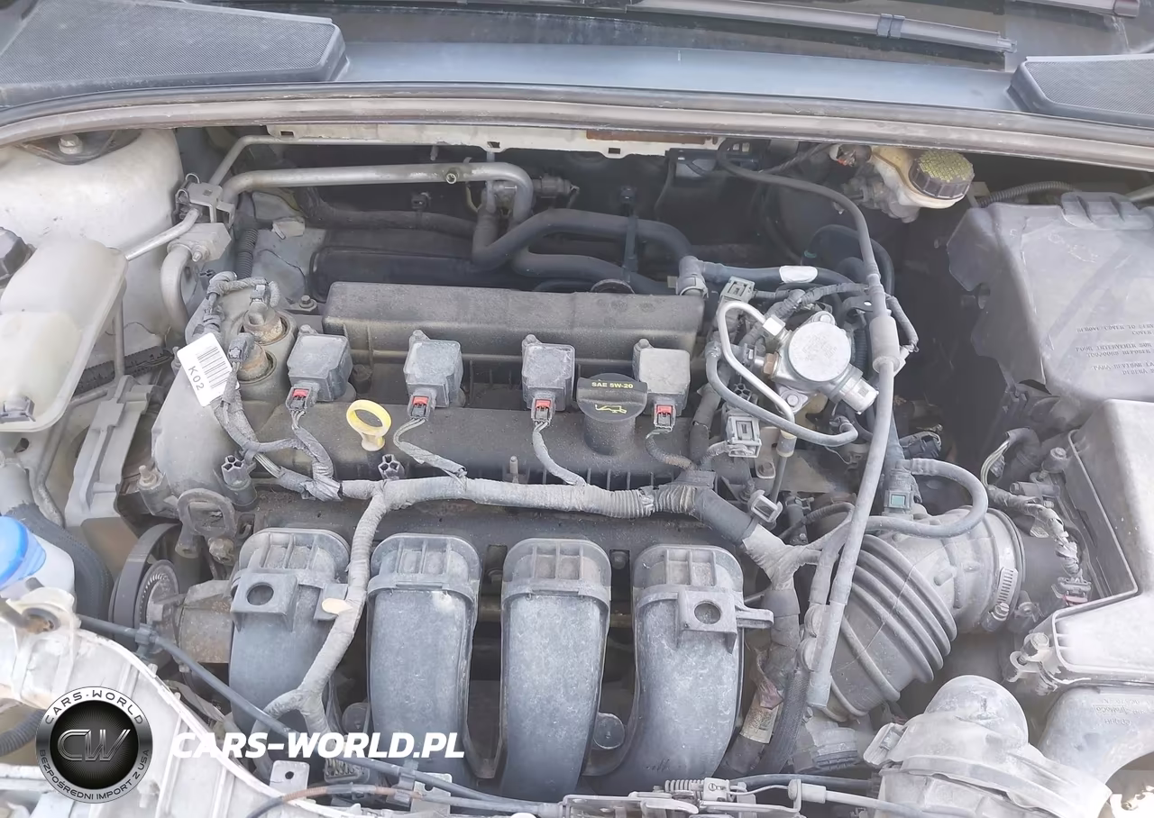 2013 Ford Focus Se VIN:1FADP3F20DL188374 - 10