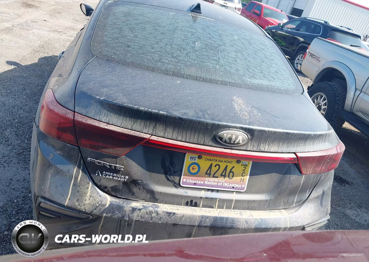2019 Kia Forte Lxs VIN:3KPF24ADXKE010283 - 16
