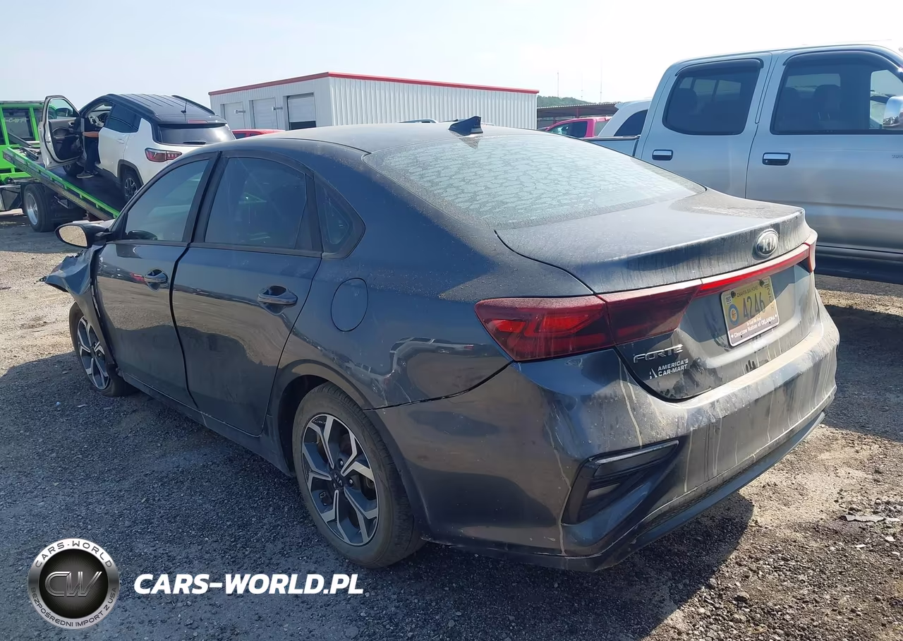 2019 Kia Forte Lxs VIN:3KPF24ADXKE010283 - 3