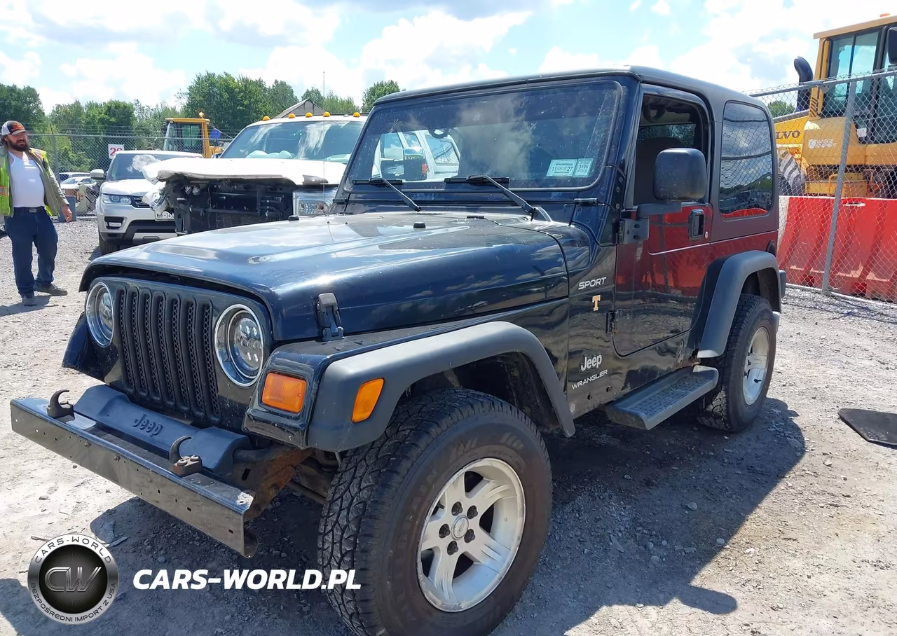 2004 Jeep Wrangler Sport VIN:1J4FA49S74P732295 - 2