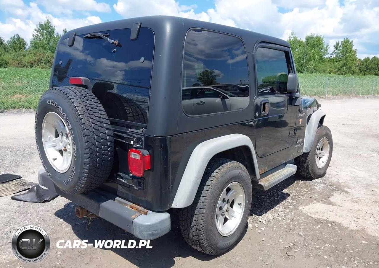 2004 Jeep Wrangler Sport VIN:1J4FA49S74P732295 - 4