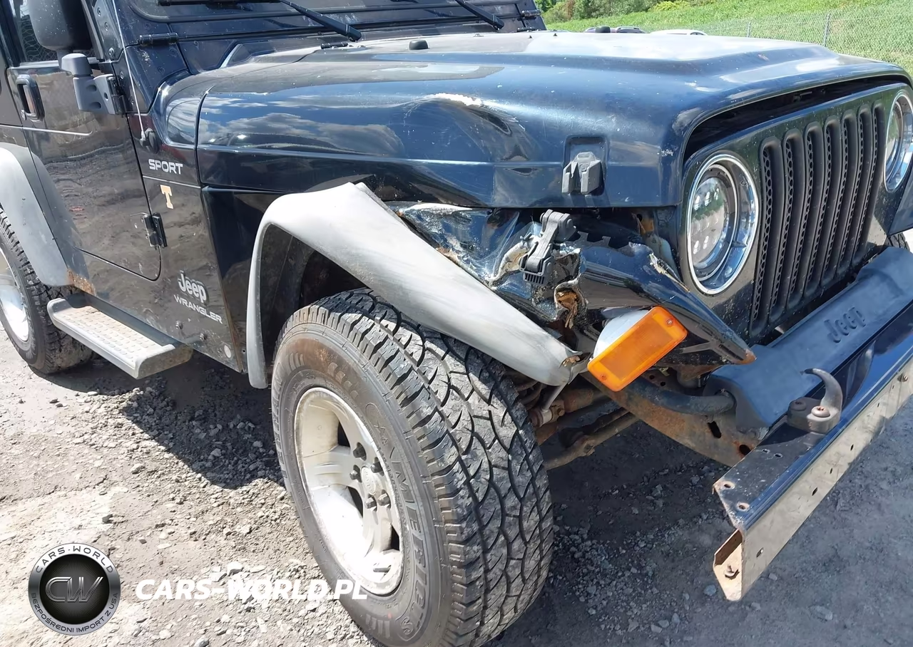 2004 Jeep Wrangler Sport VIN:1J4FA49S74P732295 - 6