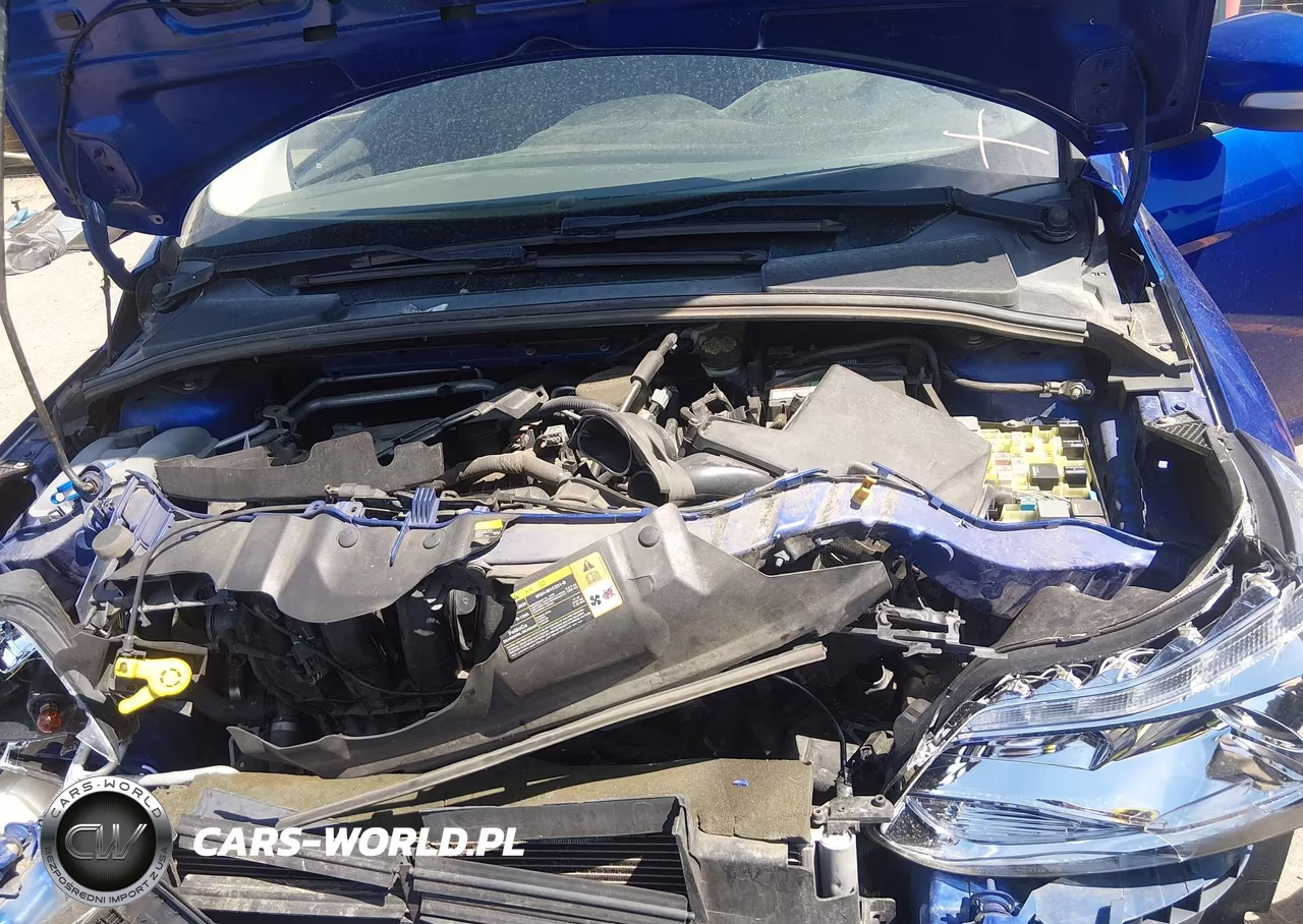 2013 Ford Focus Se VIN:1FADP3K27DL254098 - 10