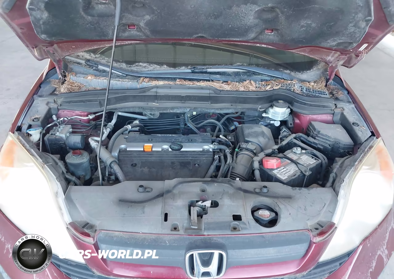 2009 Honda Cr-V Lx VIN:JHLRE48389C024835 - 10