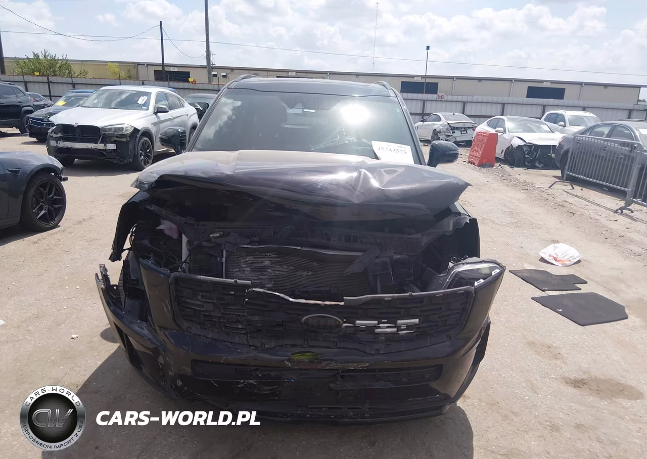 2021 Kia Telluride Sx VIN:5XYP5DHC1MG193636 - 12