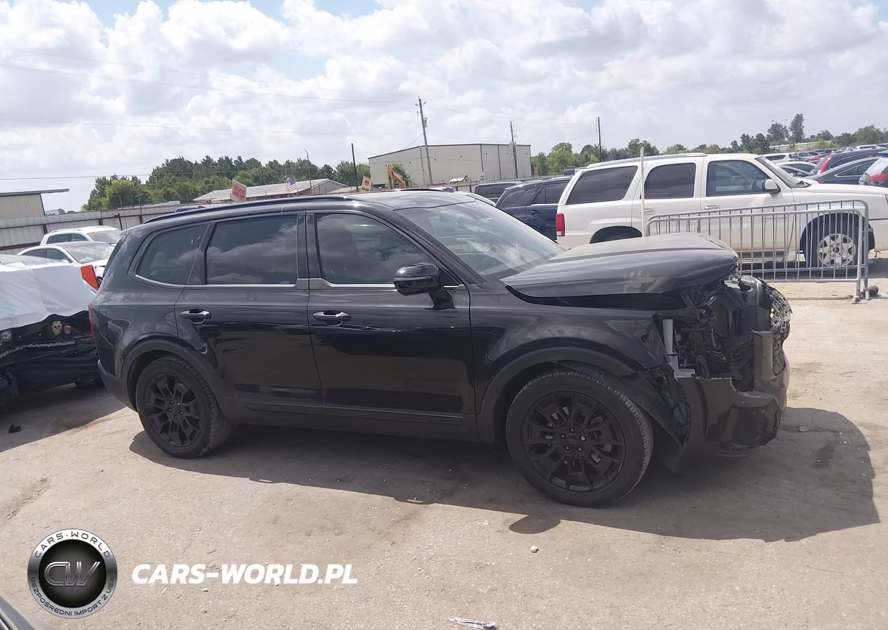 2021 Kia Telluride Sx VIN:5XYP5DHC1MG193636 - 13